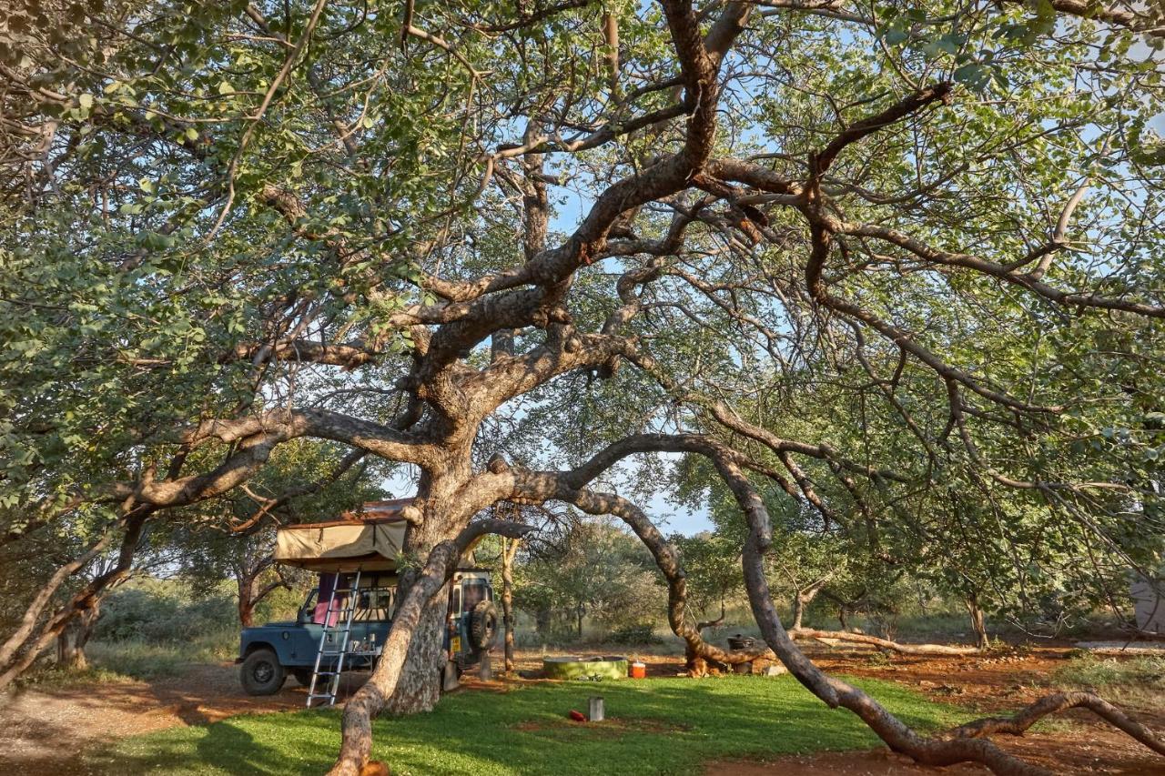 Zuricamp - Campsite Halishi Tsumeb Esterno foto